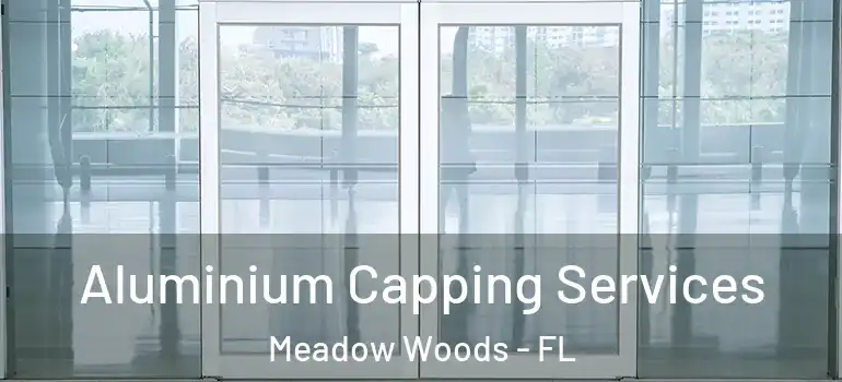  Aluminium Capping Services Meadow Woods - FL