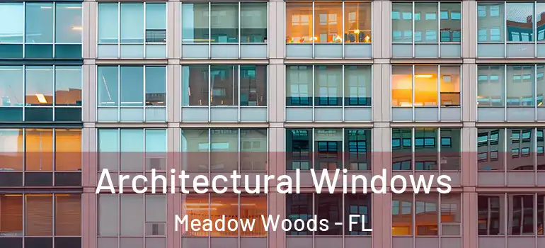  Architectural Windows Meadow Woods - FL