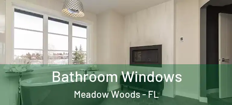  Bathroom Windows Meadow Woods - FL