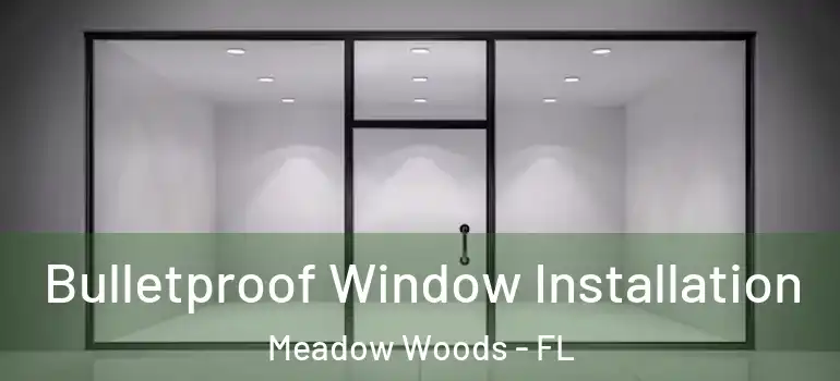  Bulletproof Window Installation Meadow Woods - FL