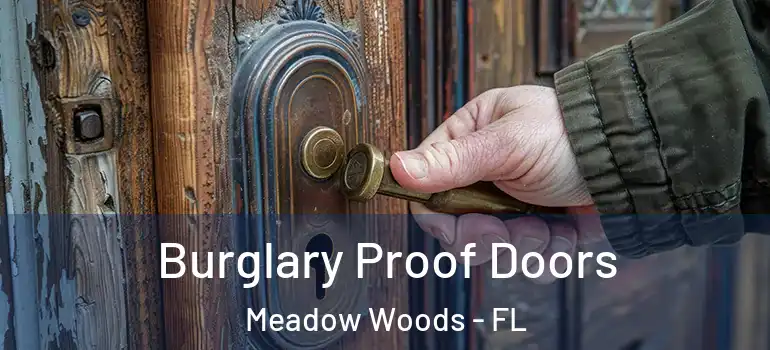  Burglary Proof Doors Meadow Woods - FL