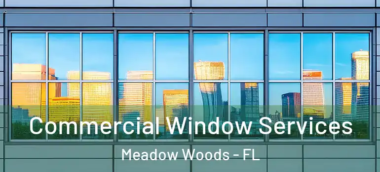  Commercial Window Services Meadow Woods - FL