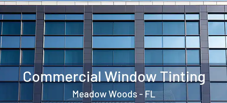  Commercial Window Tinting Meadow Woods - FL