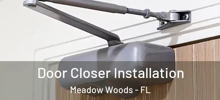  Door Closer Installation Meadow Woods - FL