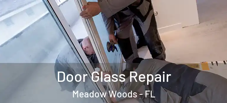  Door Glass Repair Meadow Woods - FL