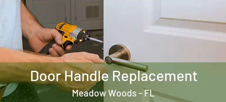  Door Handle Replacement Meadow Woods - FL