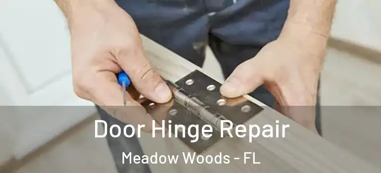  Door Hinge Repair Meadow Woods - FL