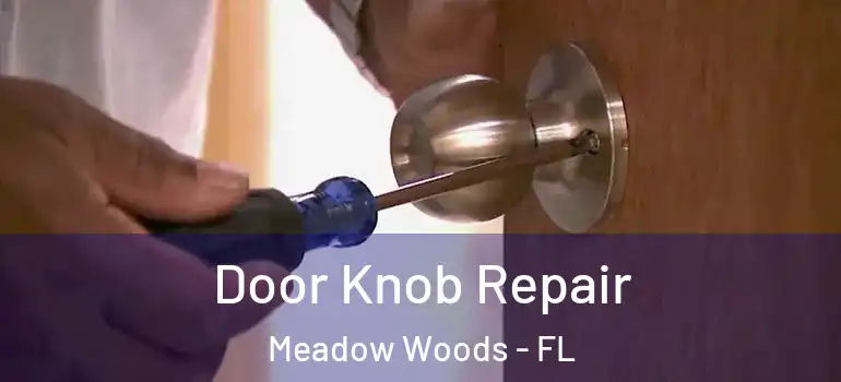  Door Knob Repair Meadow Woods - FL