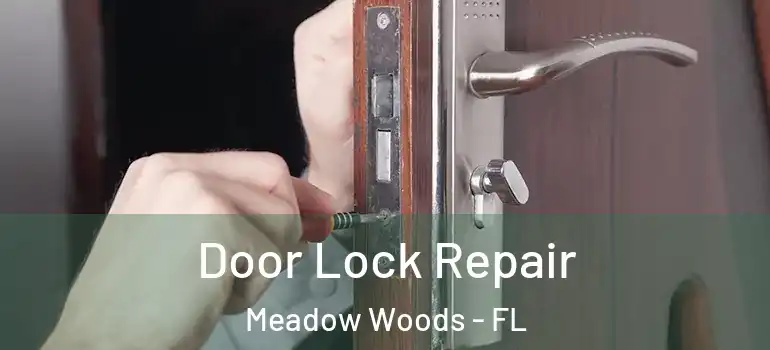  Door Lock Repair Meadow Woods - FL