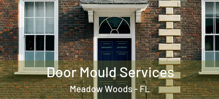  Door Mould Services Meadow Woods - FL