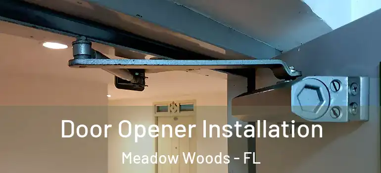  Door Opener Installation Meadow Woods - FL