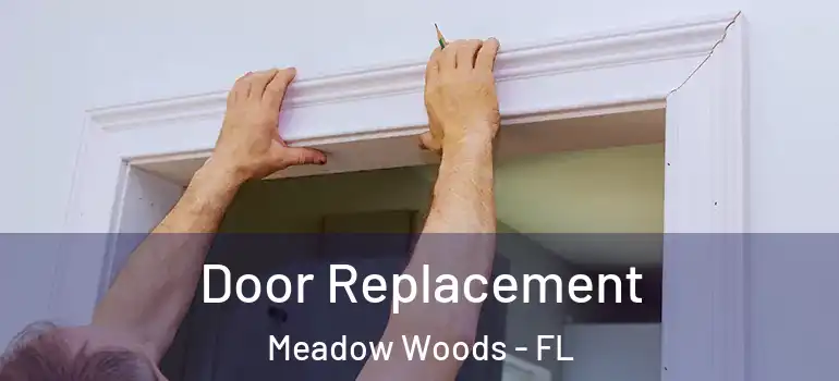 Door Replacement Meadow Woods - FL