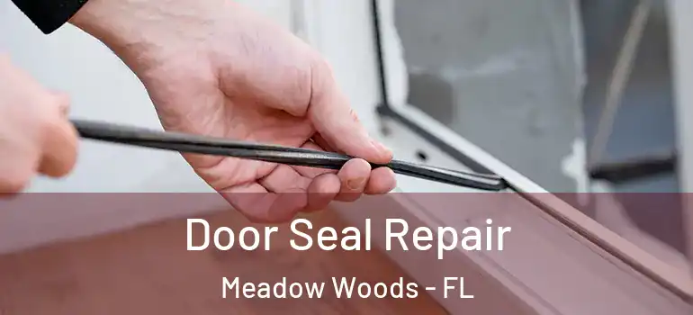  Door Seal Repair Meadow Woods - FL