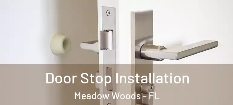  Door Stop Installation Meadow Woods - FL