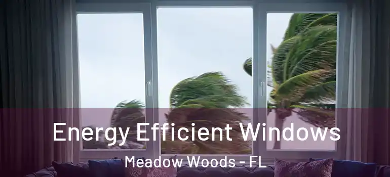  Energy Efficient Windows Meadow Woods - FL
