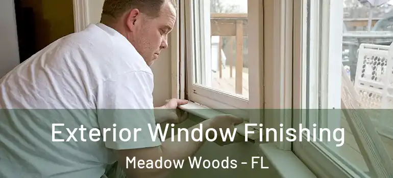  Exterior Window Finishing Meadow Woods - FL