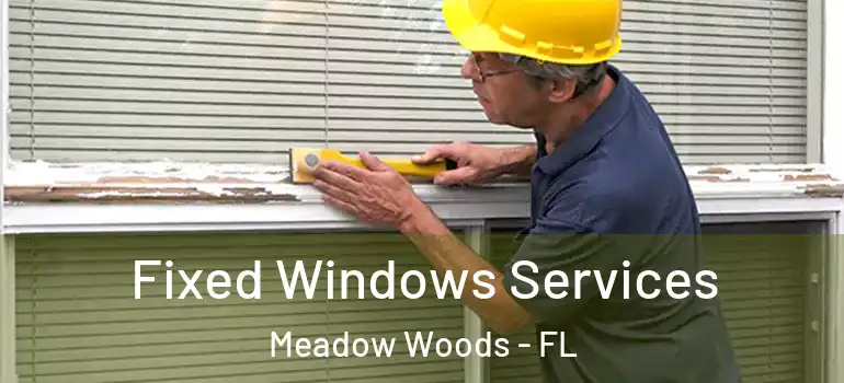  Fixed Windows Services Meadow Woods - FL