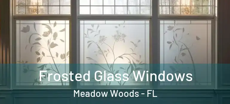  Frosted Glass Windows Meadow Woods - FL