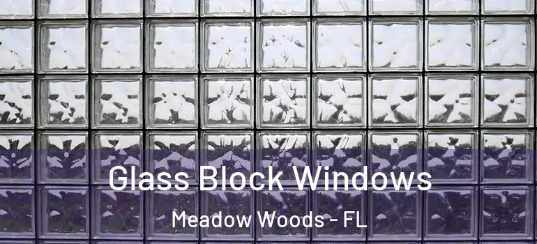  Glass Block Windows Meadow Woods - FL