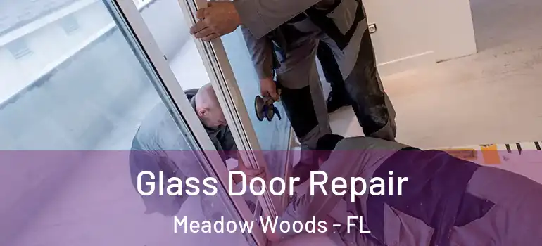  Glass Door Repair Meadow Woods - FL