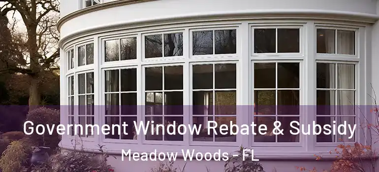  Government Window Rebate & Subsidy Meadow Woods - FL