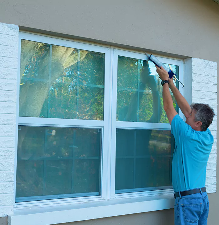 Modern Windows in Meadow Woods, FL