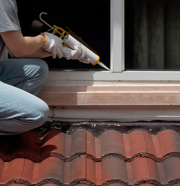 Roof Window Services in Meadow Woods, Florida
