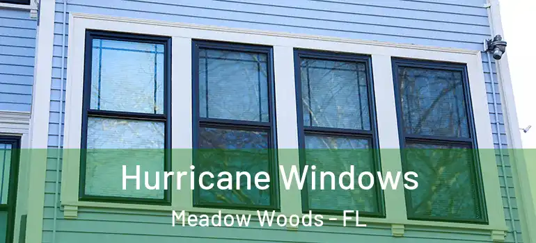  Hurricane Windows Meadow Woods - FL