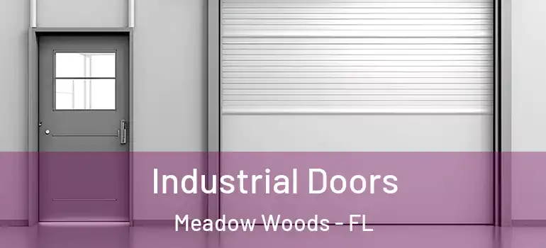  Industrial Doors Meadow Woods - FL