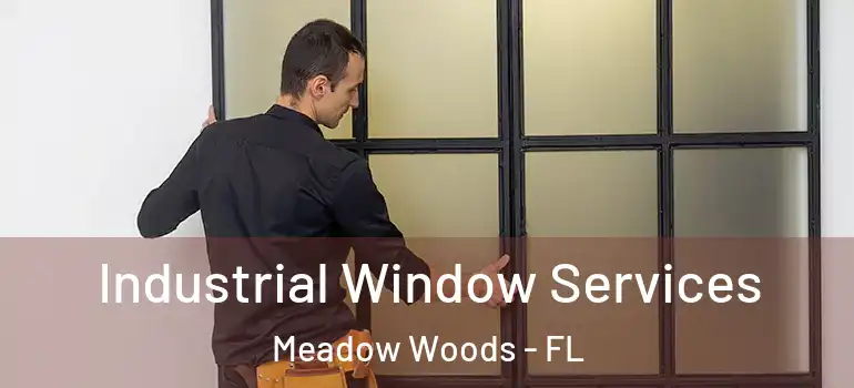  Industrial Window Services Meadow Woods - FL