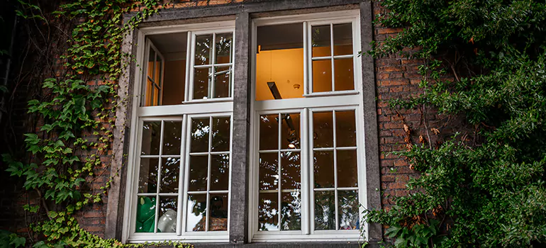Energy Efficient Wood Windows in Meadow Woods, FL