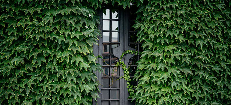 Garden Gate Repair in Meadow Woods, FL