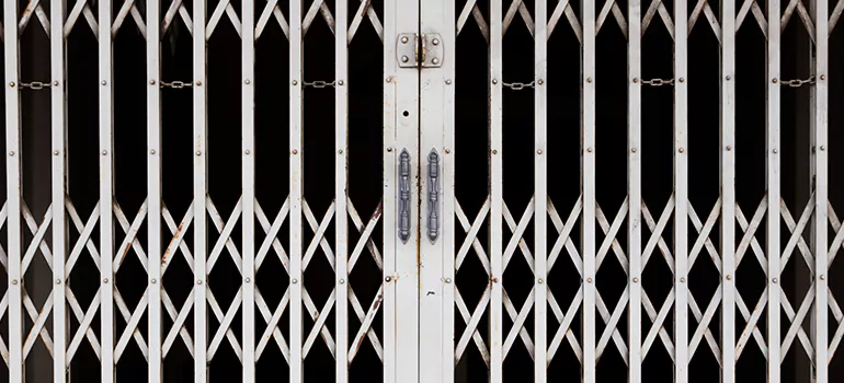 Steel Line Garage Door Repairs in Meadow Woods, FL