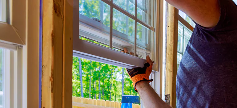 Decorative Window Film Services in Meadow Woods, FL