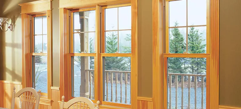Government Incentives For Replacement Windows in Meadow Woods, FL