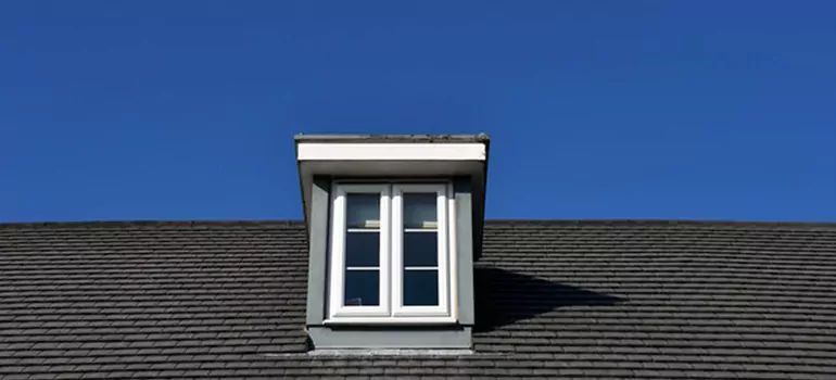 Roof Window Installation in Meadow Woods, FL