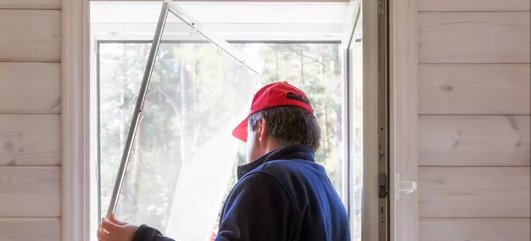 Expandable Window Screen Installation in Meadow Woods, FL