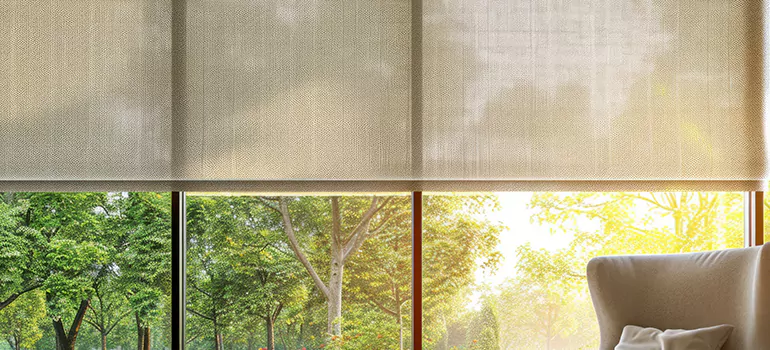 Custom Window Shades in Meadow Woods, FL