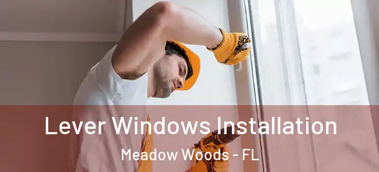  Lever Windows Installation Meadow Woods - FL