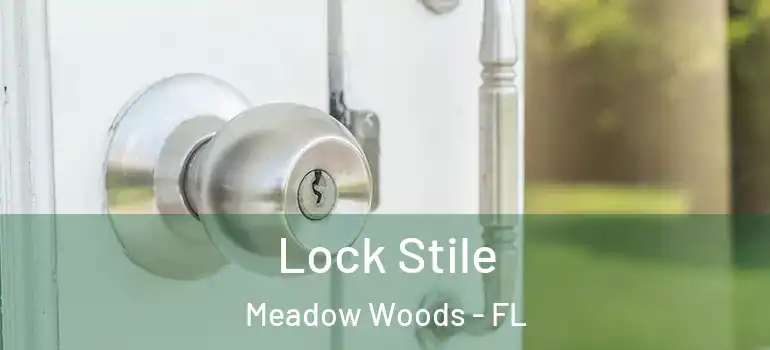 Lock Stile Meadow Woods - FL