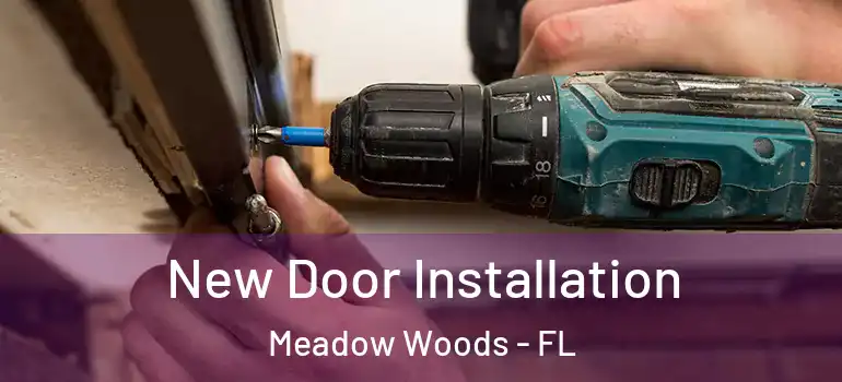  New Door Installation Meadow Woods - FL