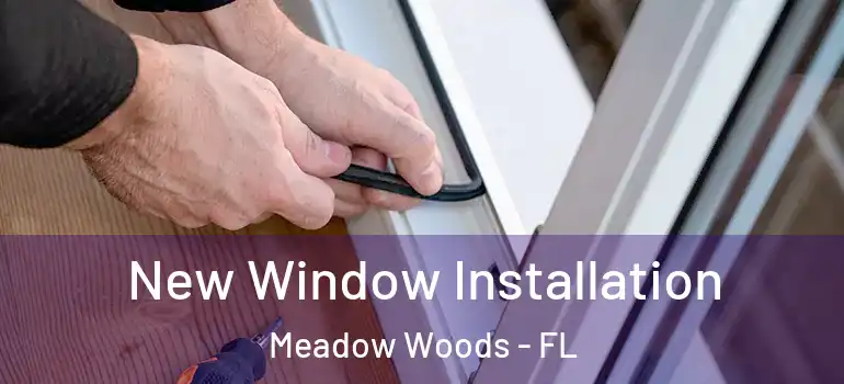  New Window Installation Meadow Woods - FL
