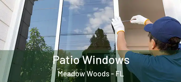  Patio Windows Meadow Woods - FL