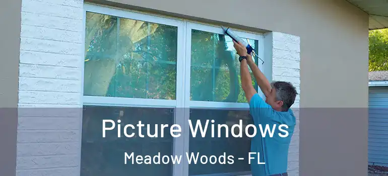  Picture Windows Meadow Woods - FL