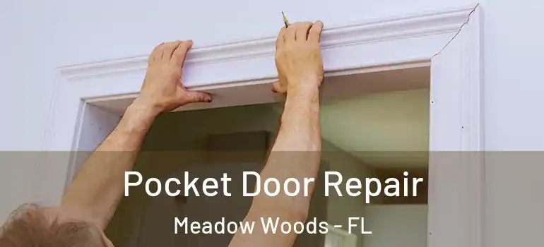  Pocket Door Repair Meadow Woods - FL