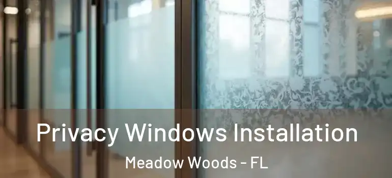 Privacy Windows Installation Meadow Woods - FL