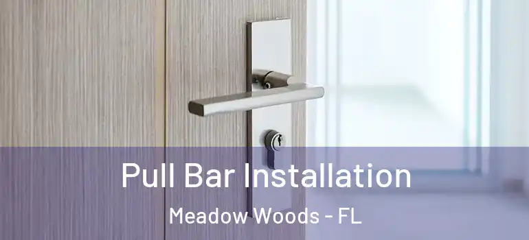  Pull Bar Installation Meadow Woods - FL