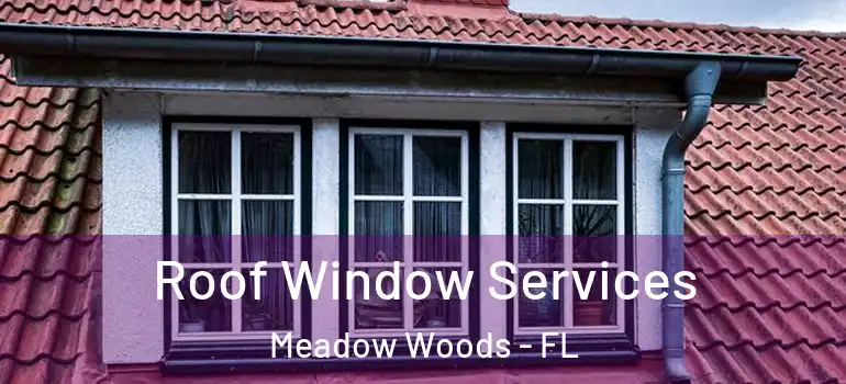 Roof Window Services Meadow Woods - FL