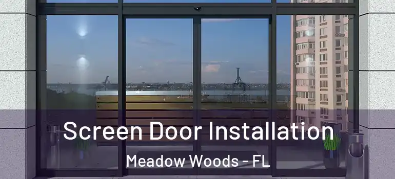  Screen Door Installation Meadow Woods - FL