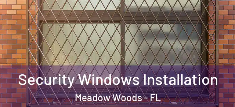  Security Windows Installation Meadow Woods - FL